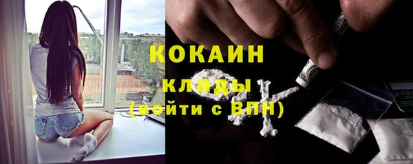 дмт Елизово