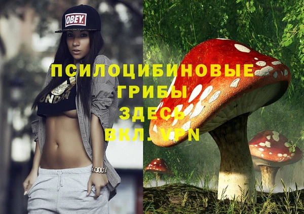 дмт Елизово