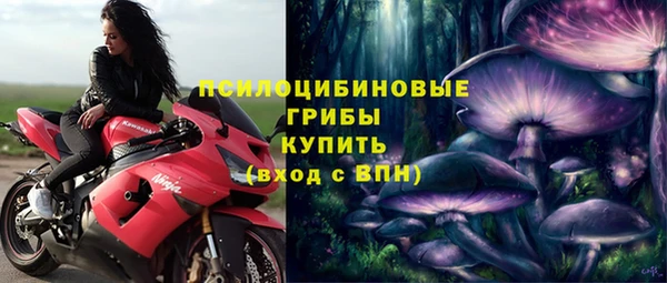 дмт Елизово