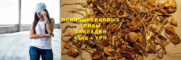 дмт Елизово